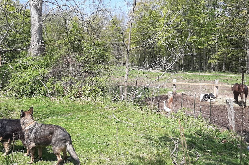 Photo of Outdoor in Town of Burns