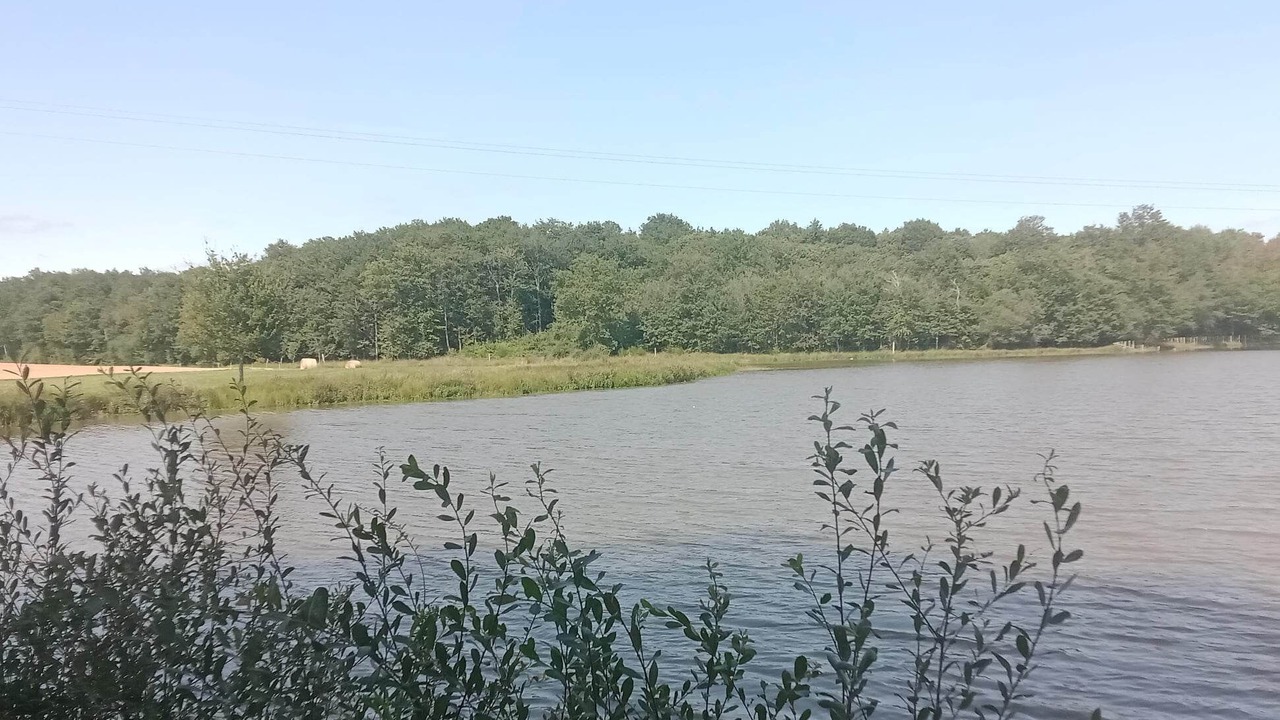 Photo of Outdoor in Orbigny