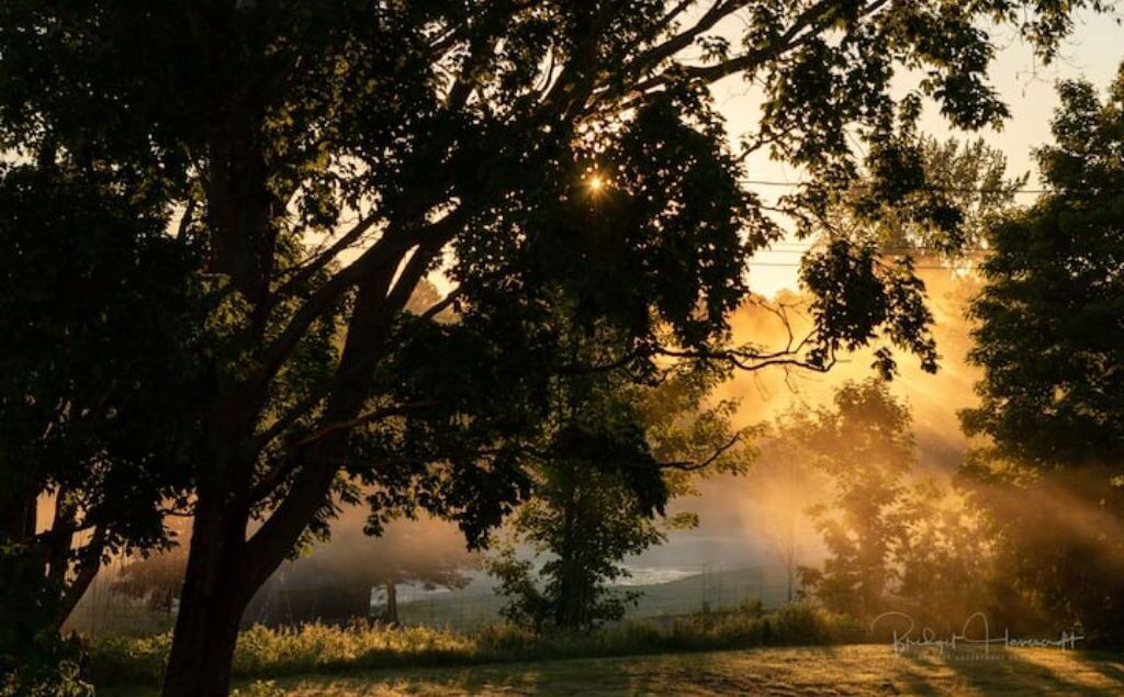 Photo of Outdoor in Kings County