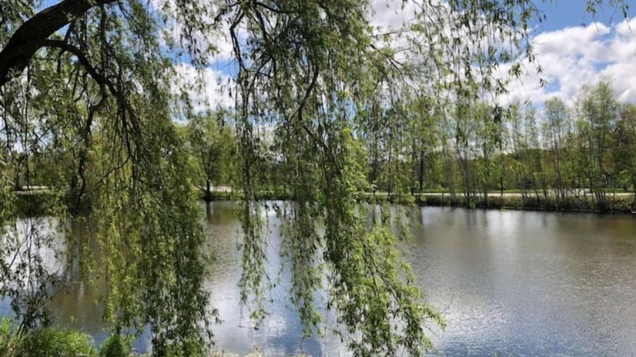 Photo of Outdoor in Kings County