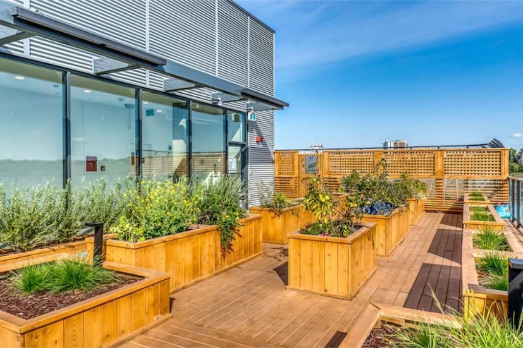 Photo of Outdoor in Sunnyside