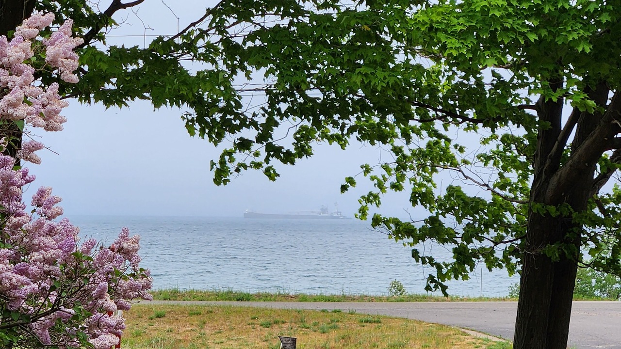 Photo of Outdoor in Upper Peninsula Michigan