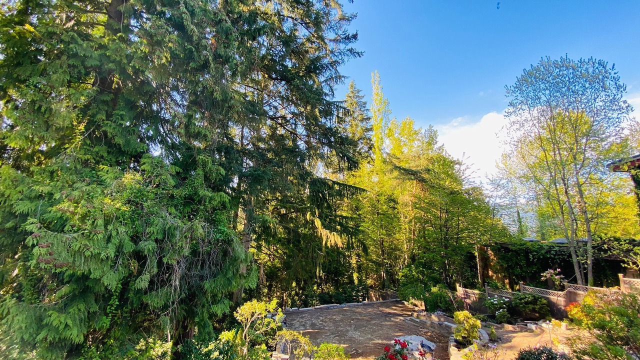 Photo of Outdoor in Coquitlam
