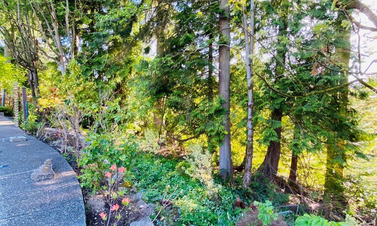 Photo of Outdoor in Coquitlam