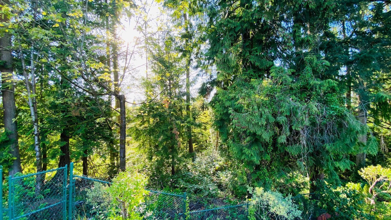 Photo of Outdoor in Coquitlam