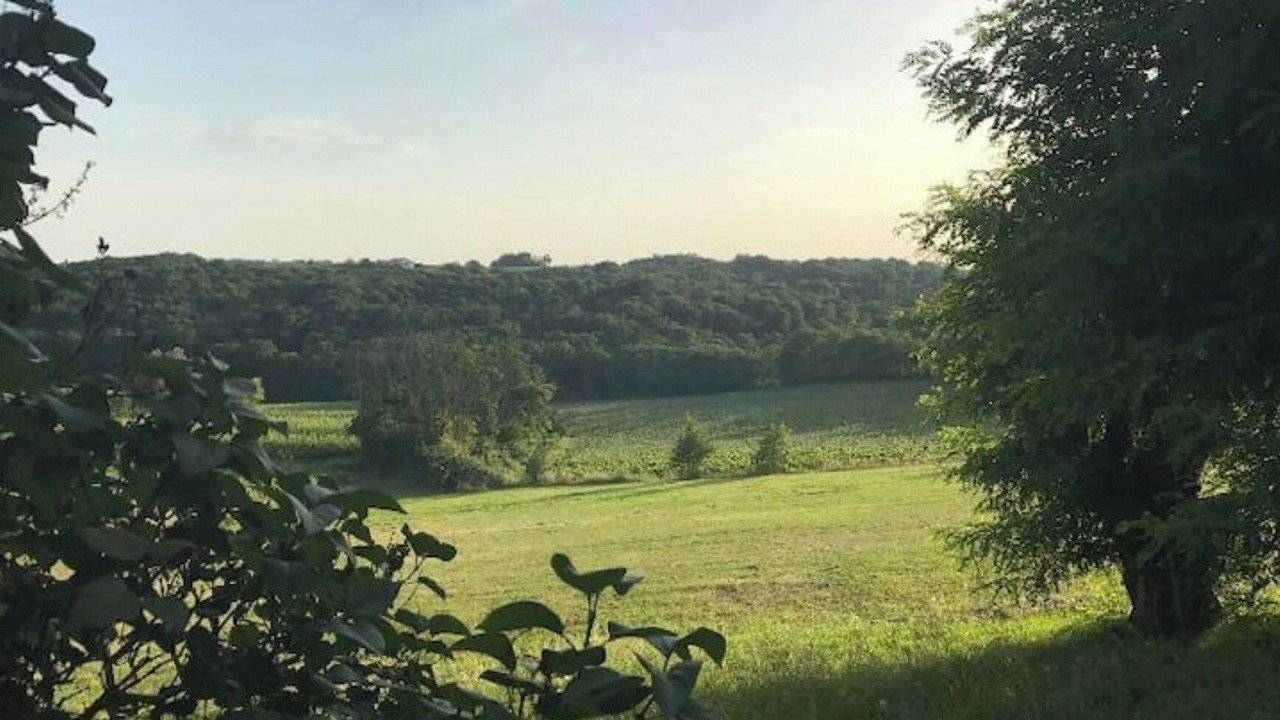 Photo of Outdoor in Saint-Andre-du-Bois
