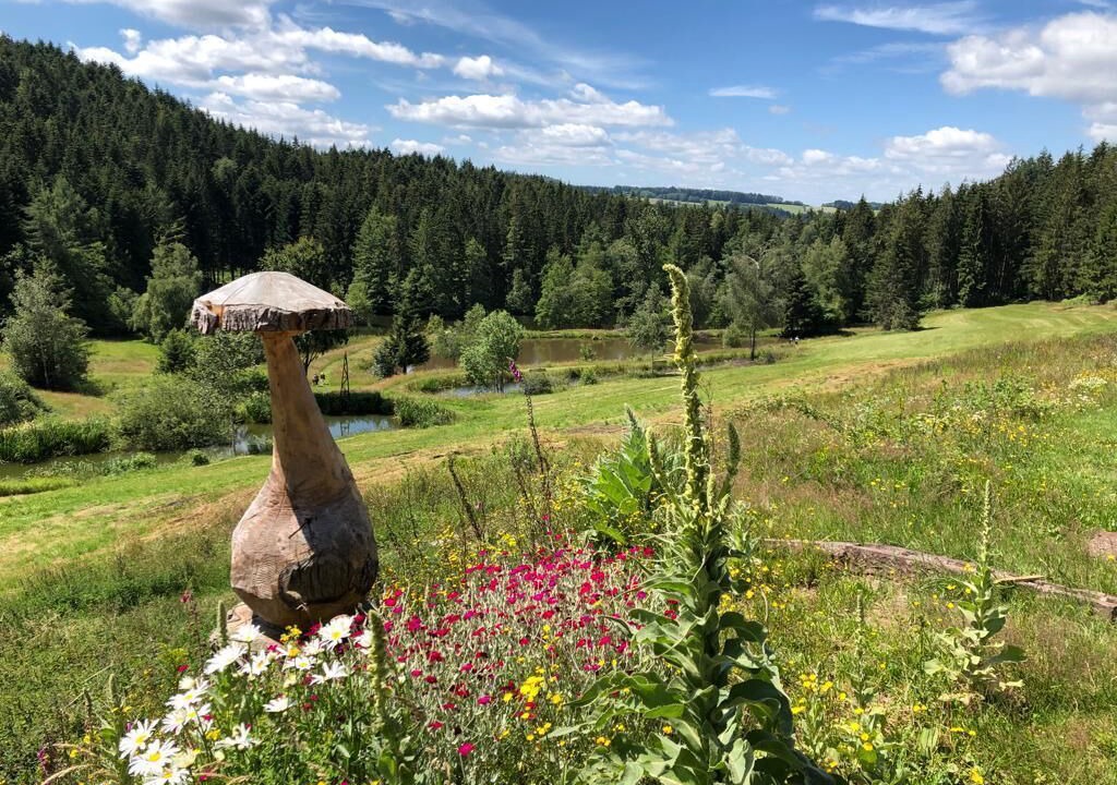 Photo of Outdoor in Girmont-Val-d'Ajol