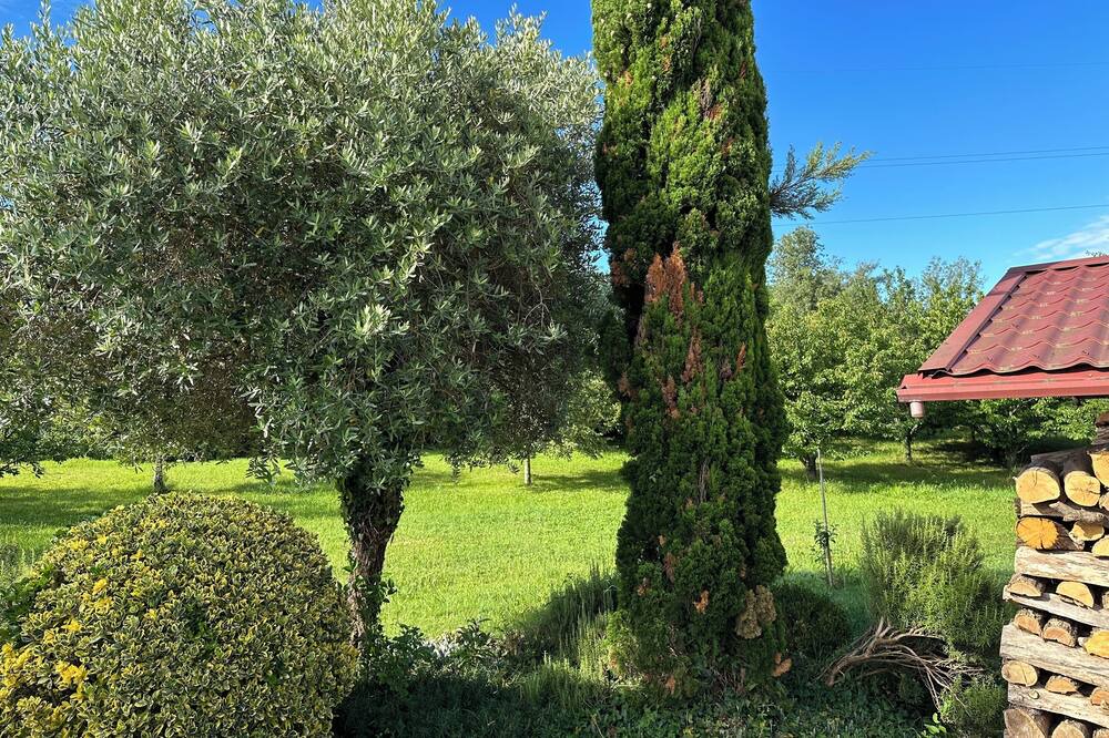 Photo of Outdoor in Nova Gorica