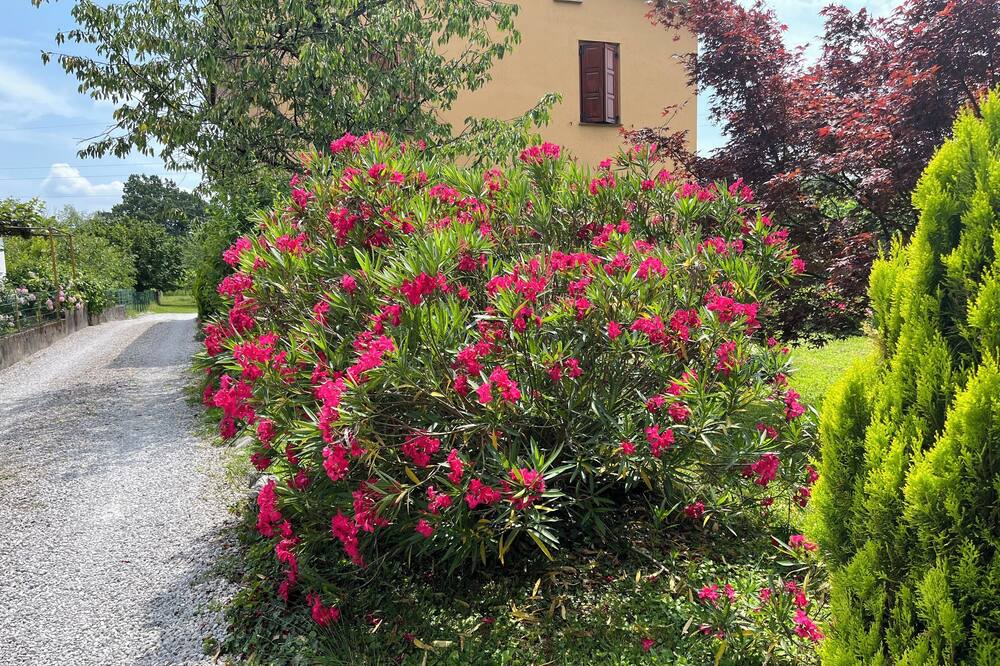 Photo of Outdoor in Nova Gorica