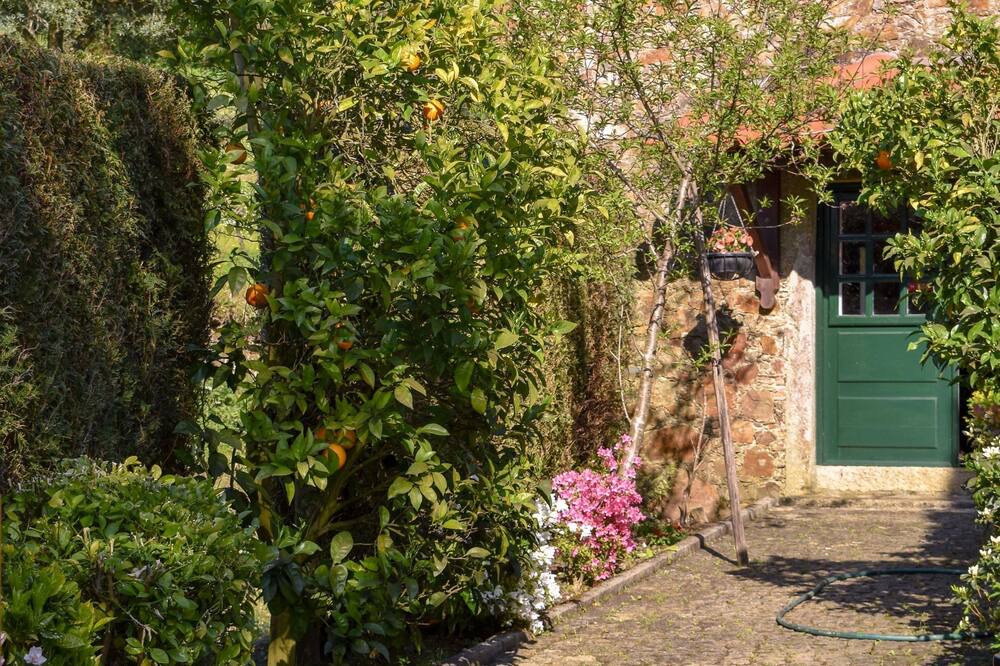 Photo of Outdoor in Fornelos