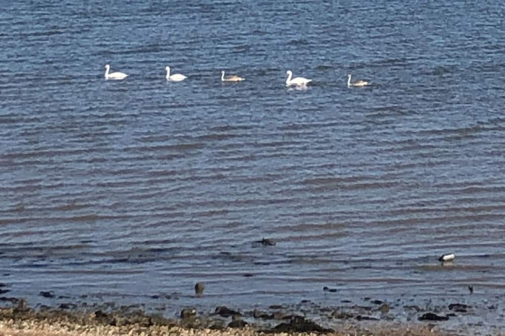 Photo of Others in Seasalter