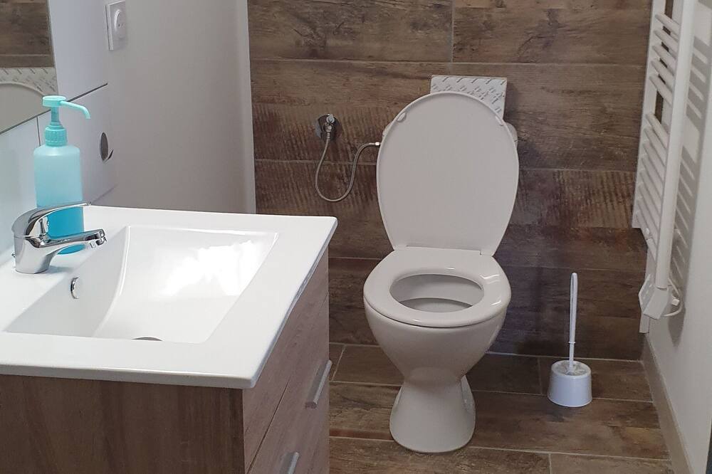 Photo of Bathroom in Lannemezan