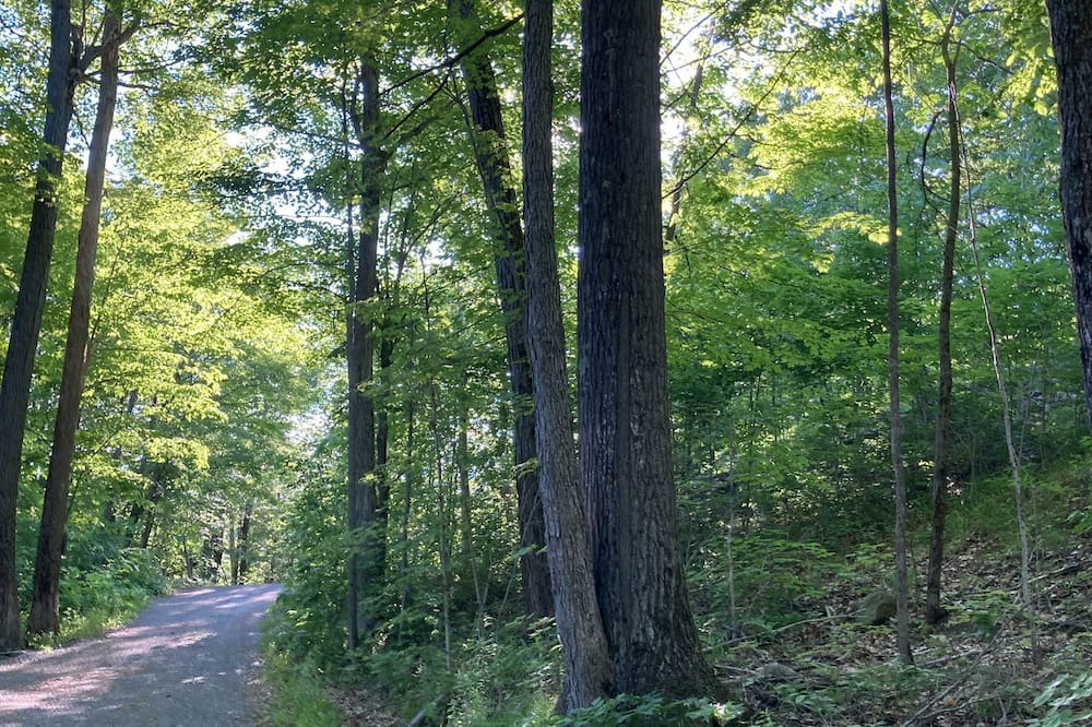 Photo of Outdoor in Utterson