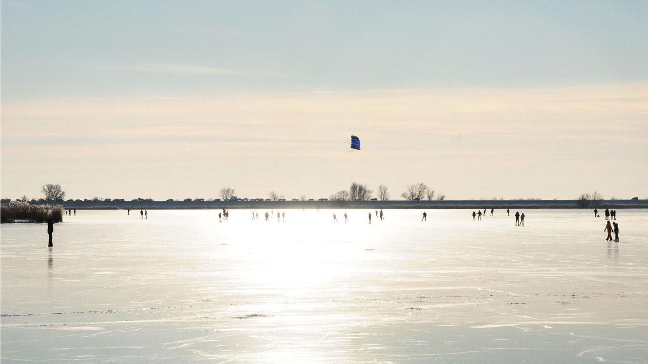 Photo of Others in Lelystad