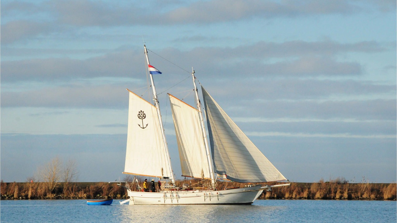 Photo of Others in Lelystad