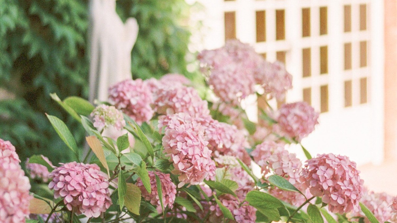 Photo of Outdoor in La Courtete