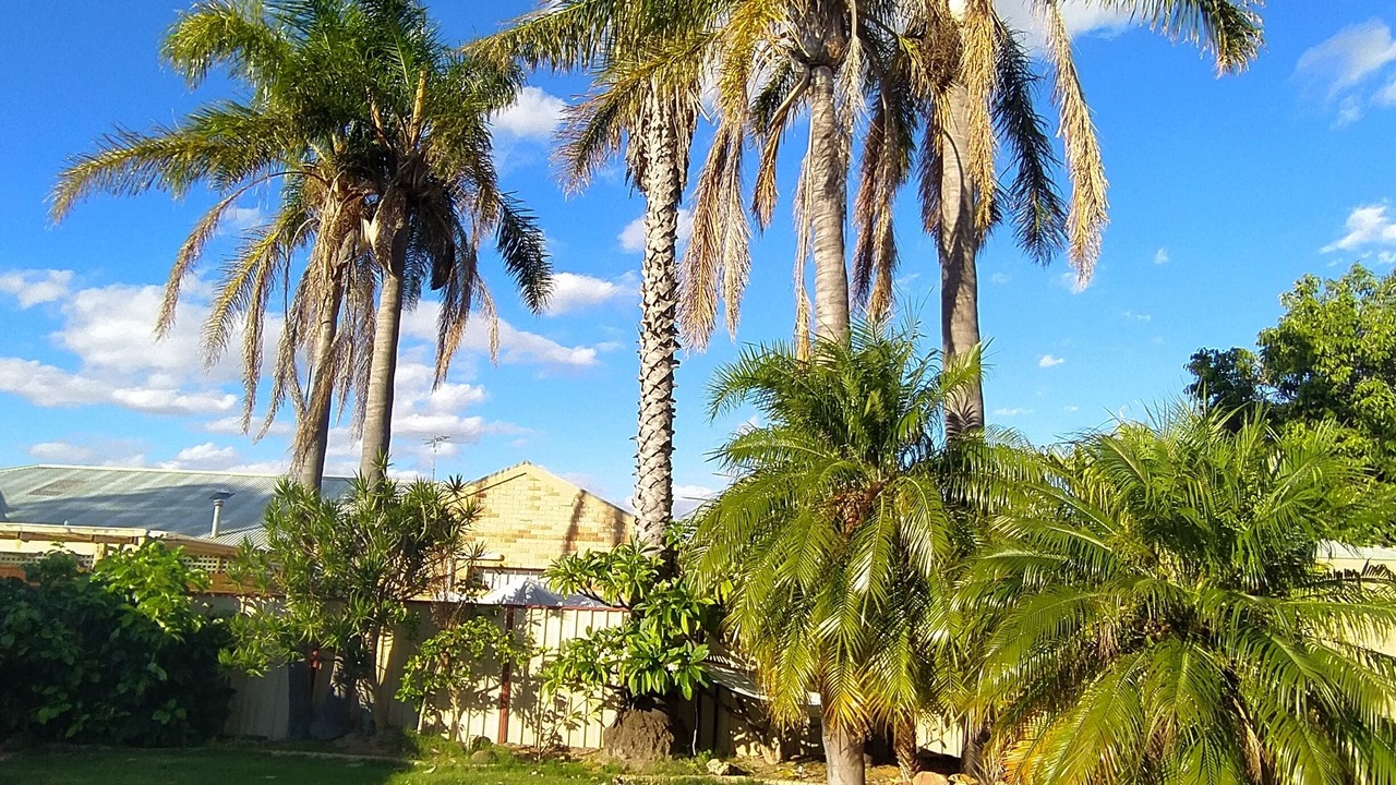 Photo of Outdoor in Warnbro