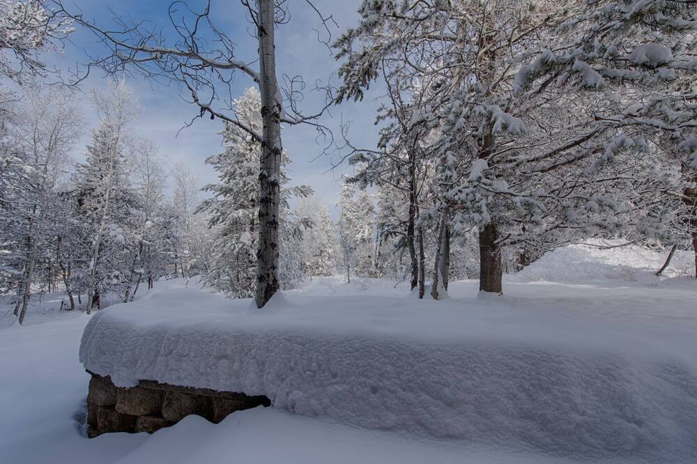 Photo of Others in McCall