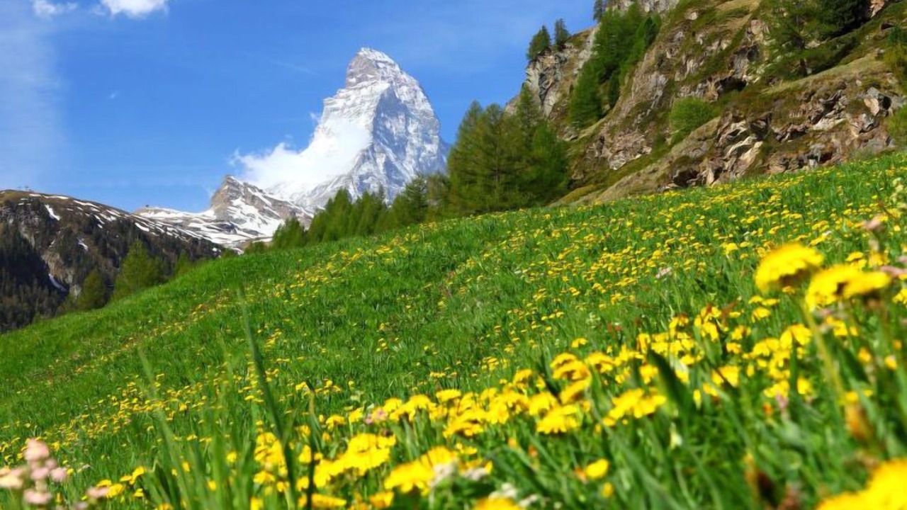 Photo of Outdoor in Zermatt