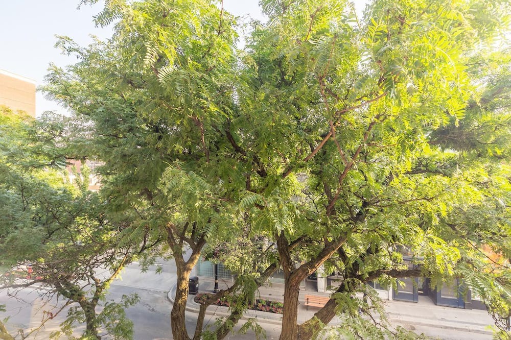Photo of Outdoor in Beasley