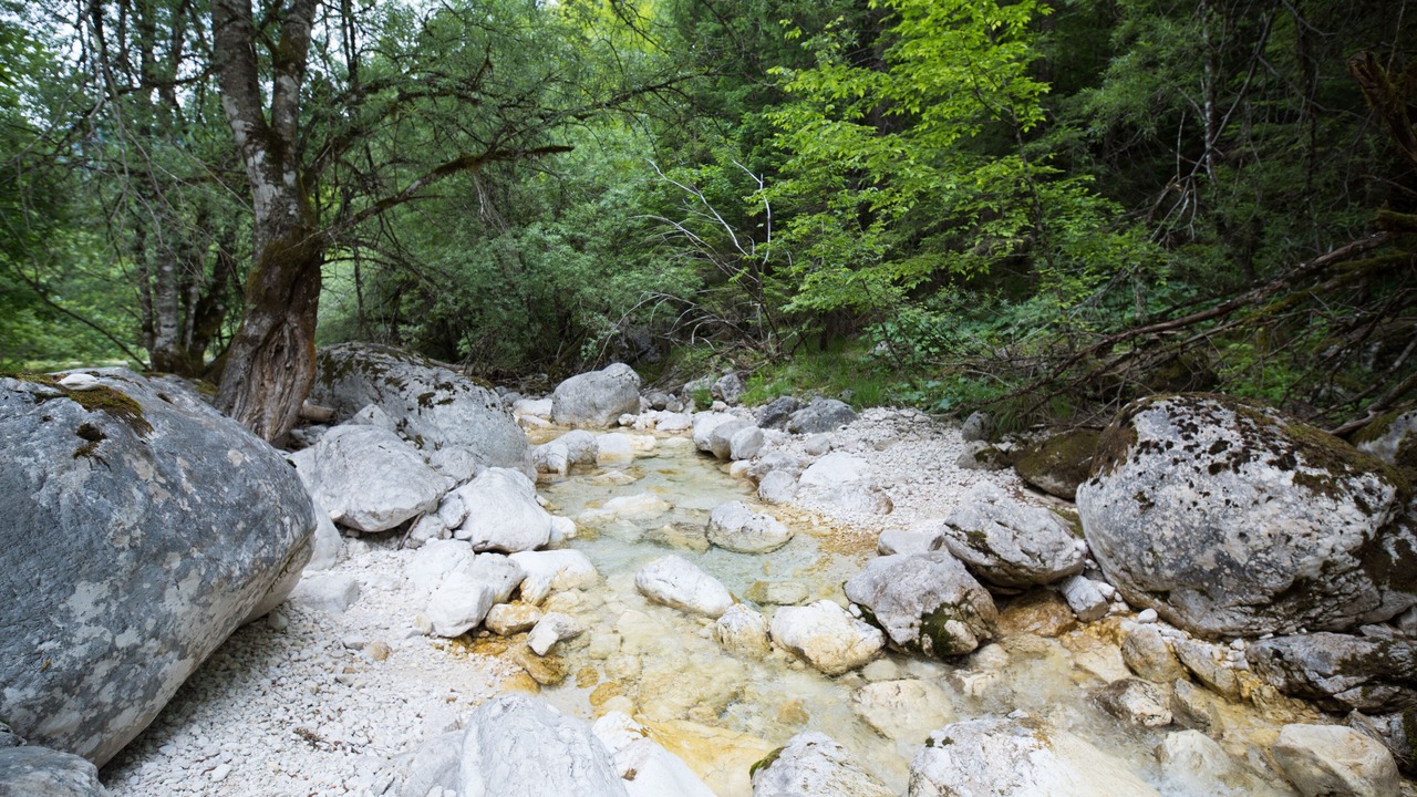 Photo of Outdoor in Bovec
