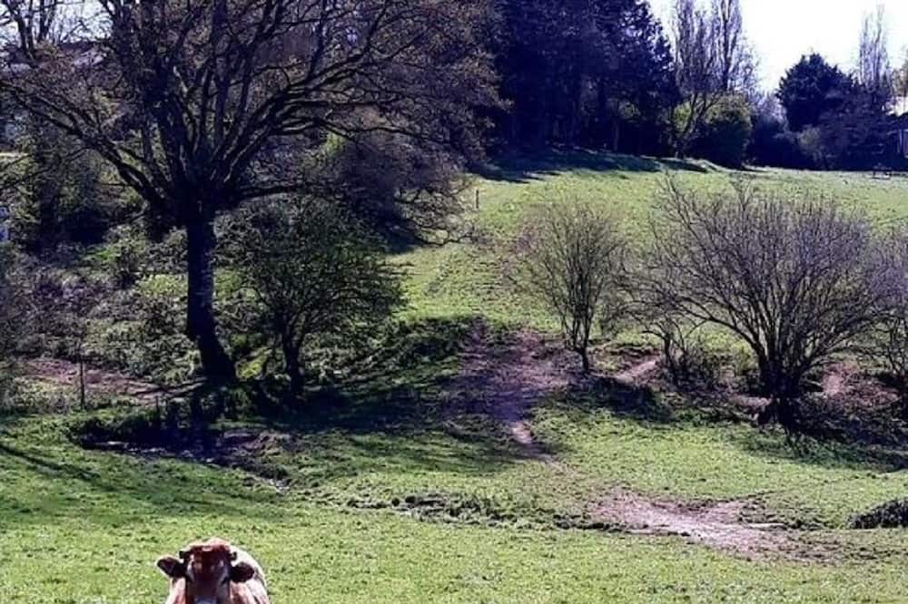 Photo of Outdoor in Maulevrier