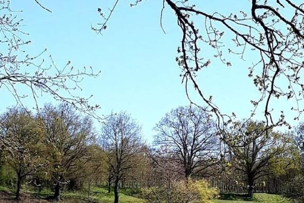 Photo of Outdoor in Maulevrier