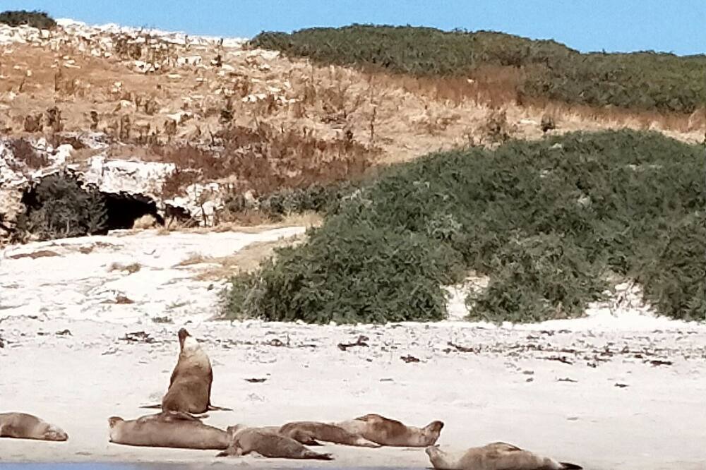 Photo of Others in Safety Bay