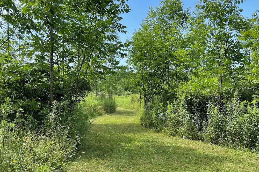 Photo of Outdoor in Dansville