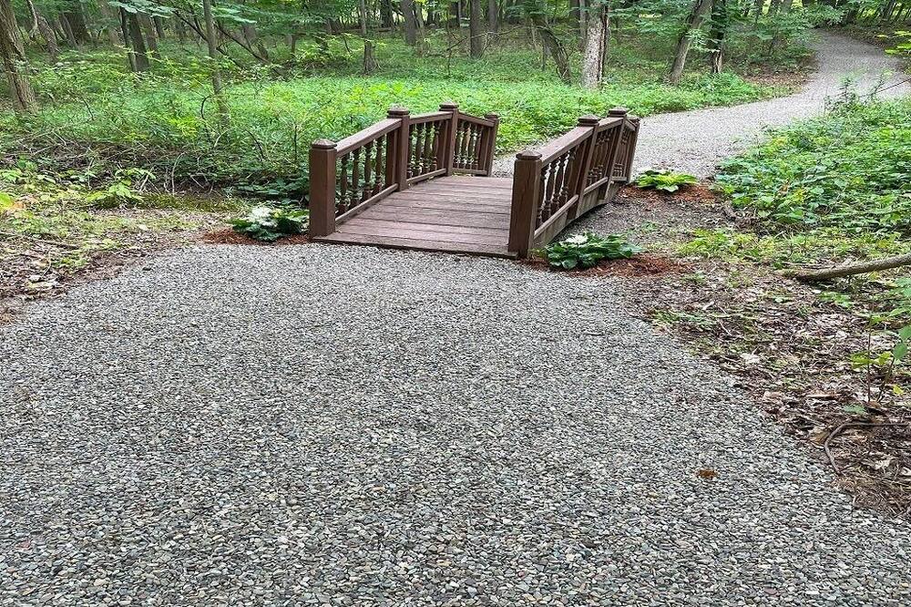 Photo of Outdoor in Dansville