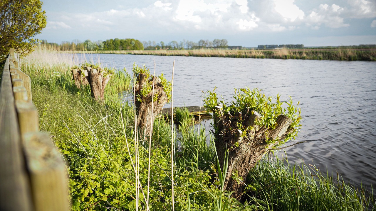 Photo of Outdoor in Sluis