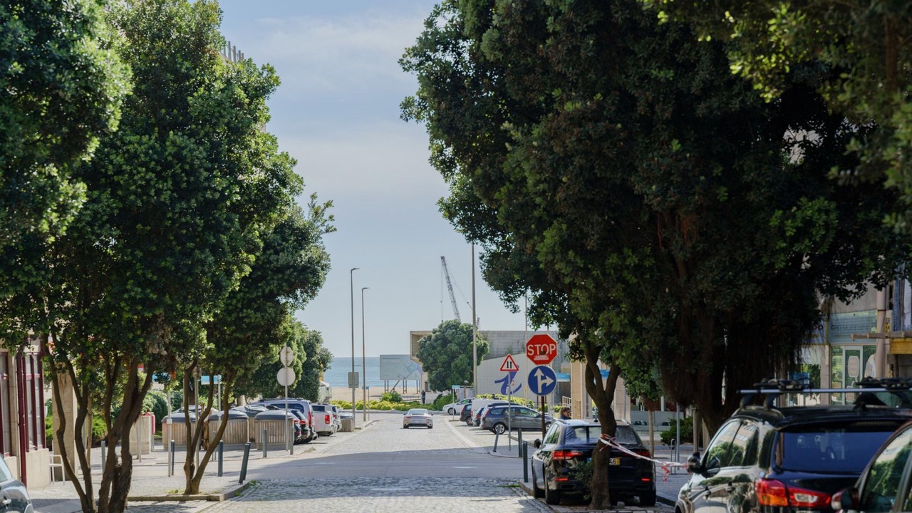 Photo of Others in Leixões
