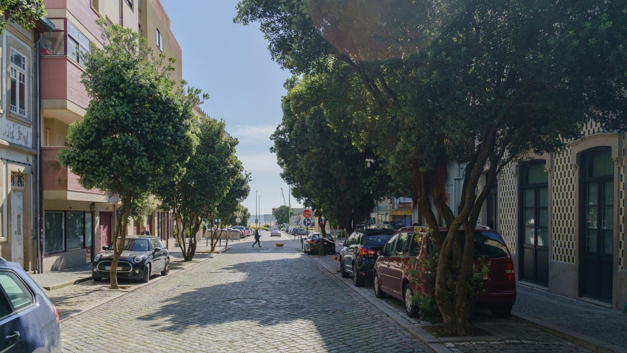 Photo of Others in Leixões