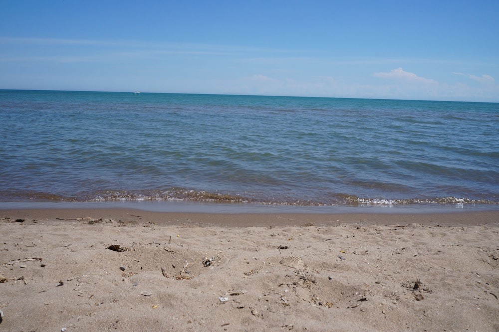 Photo of Others in Turkey Point