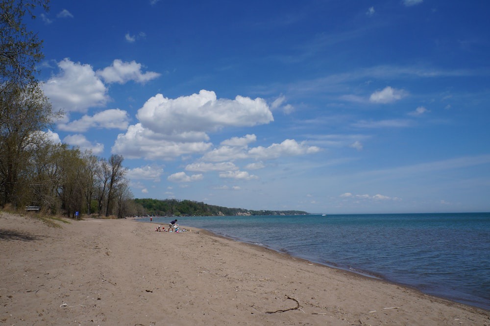 Photo of Others in Turkey Point