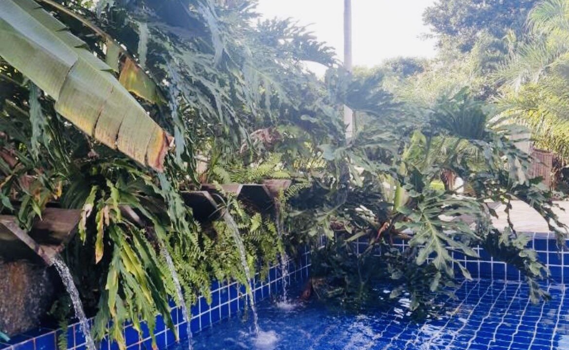 Photo of Outdoor in Pescaria