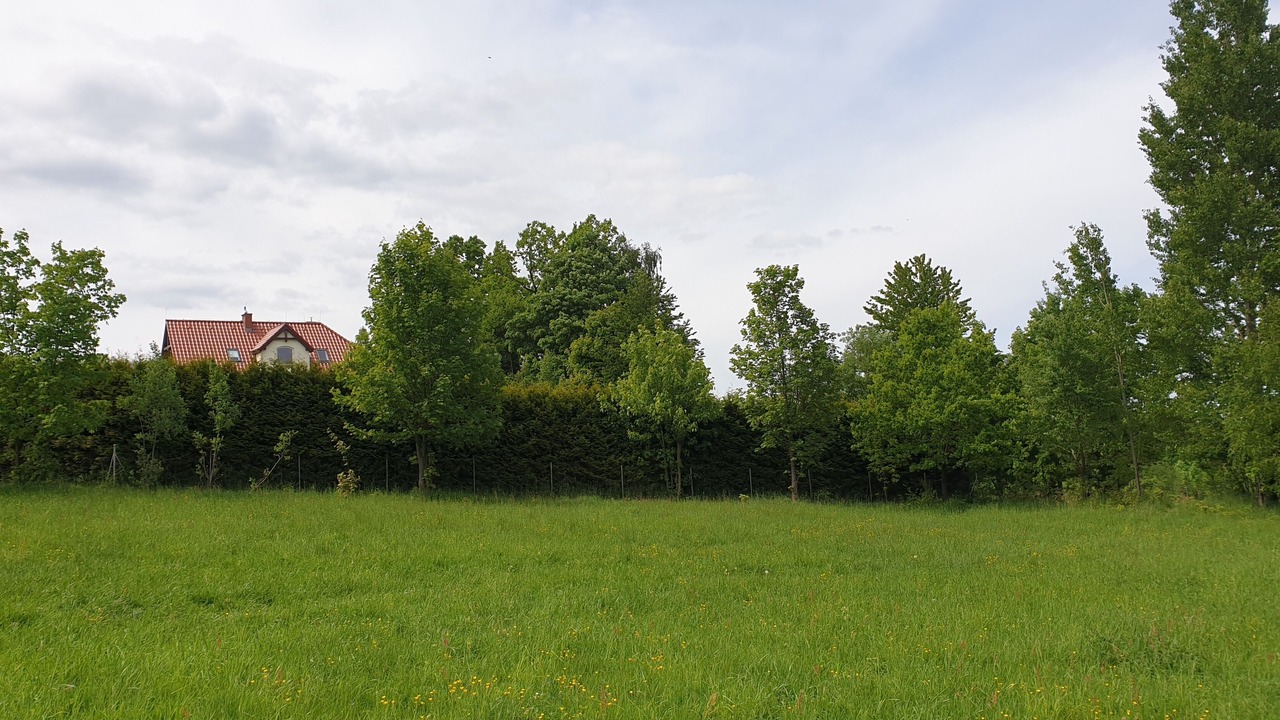 Photo of Outdoor in Kowary
