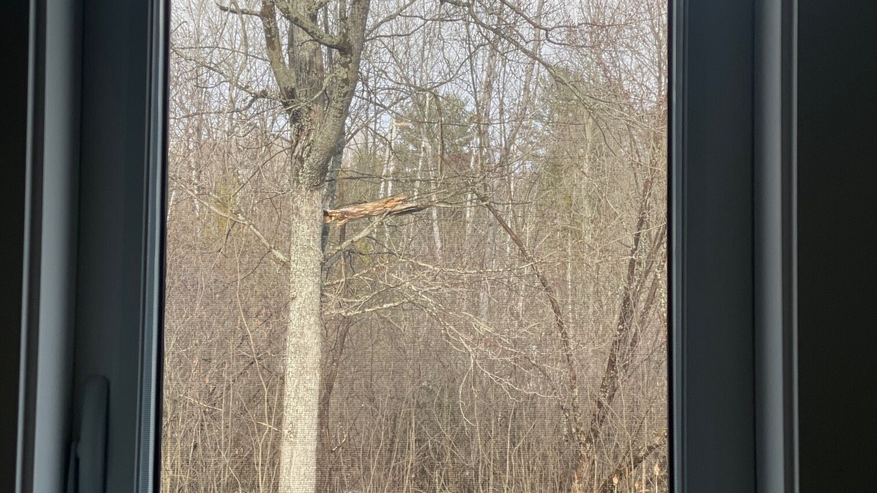 Photo of Others in Muskoka Lakes