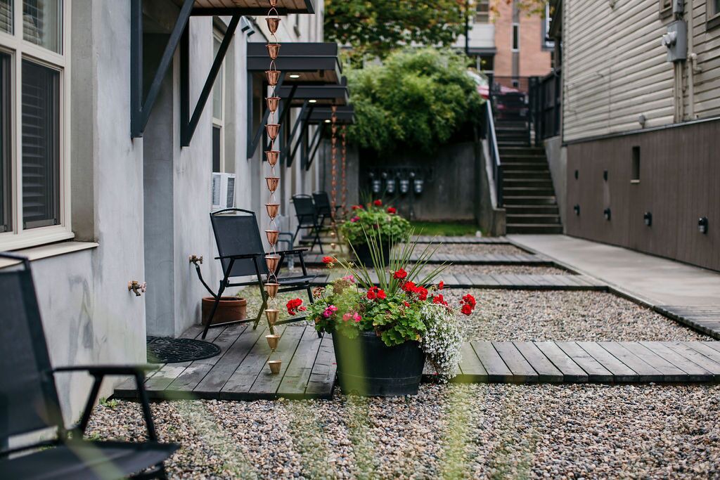 Photo of Outdoor in Nelson