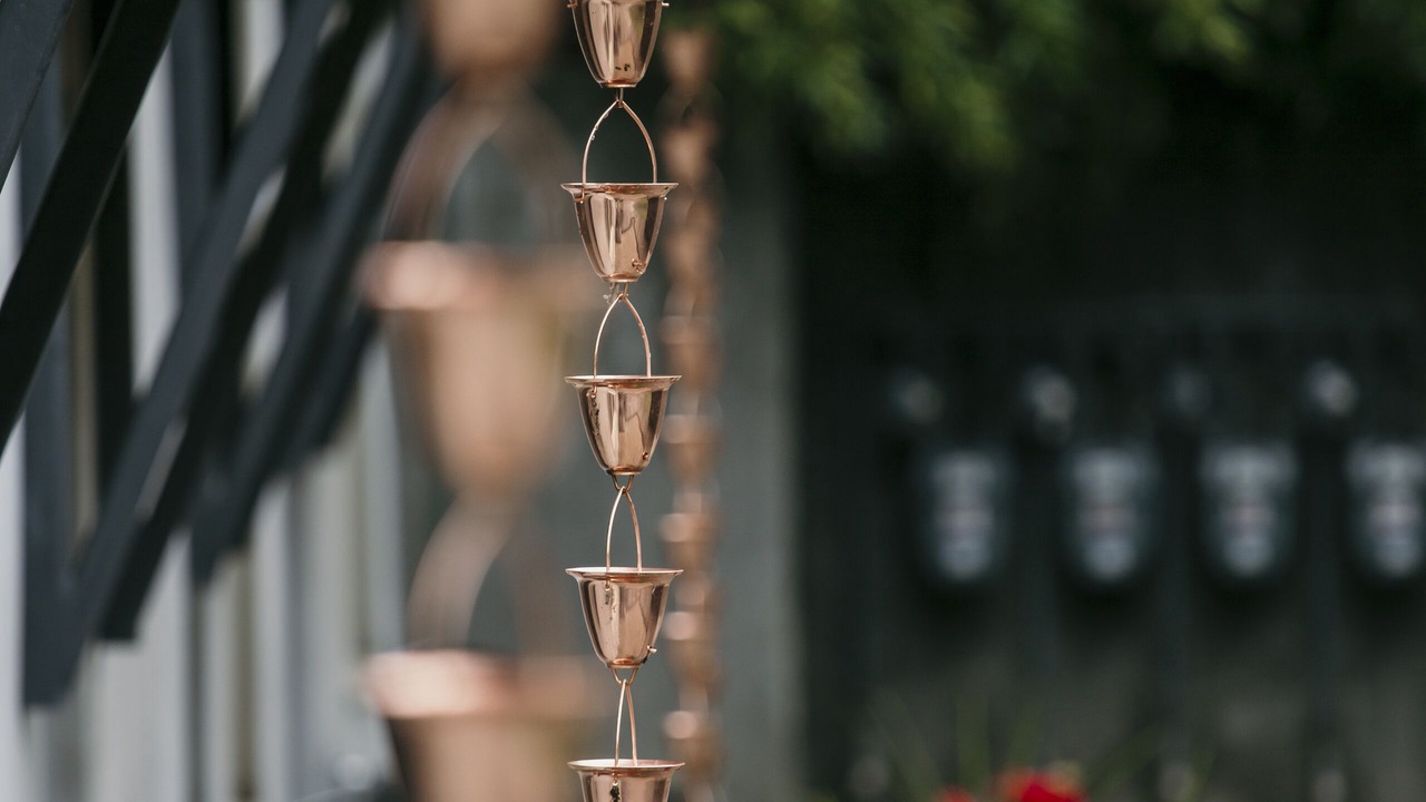 Photo of Outdoor in Nelson