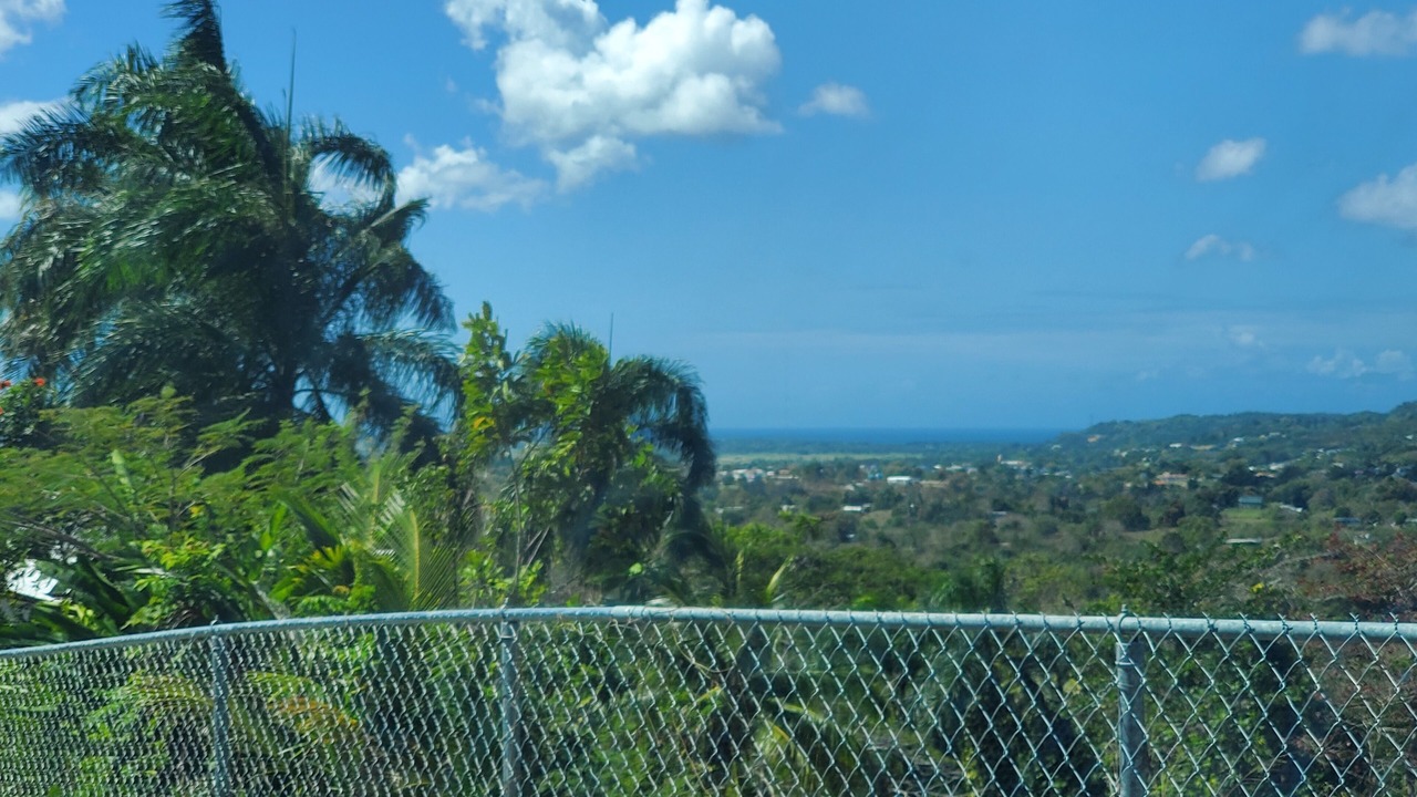 Photo of Outdoor in Moca