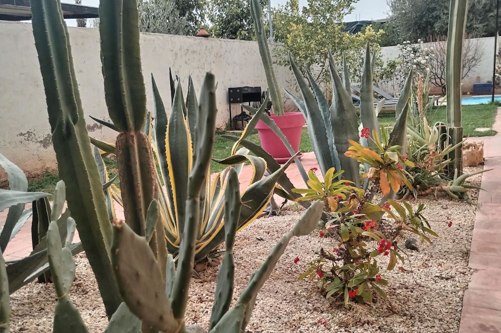Photo of Outdoor in Zaouia Sidi Abdallah Ben Sassi
