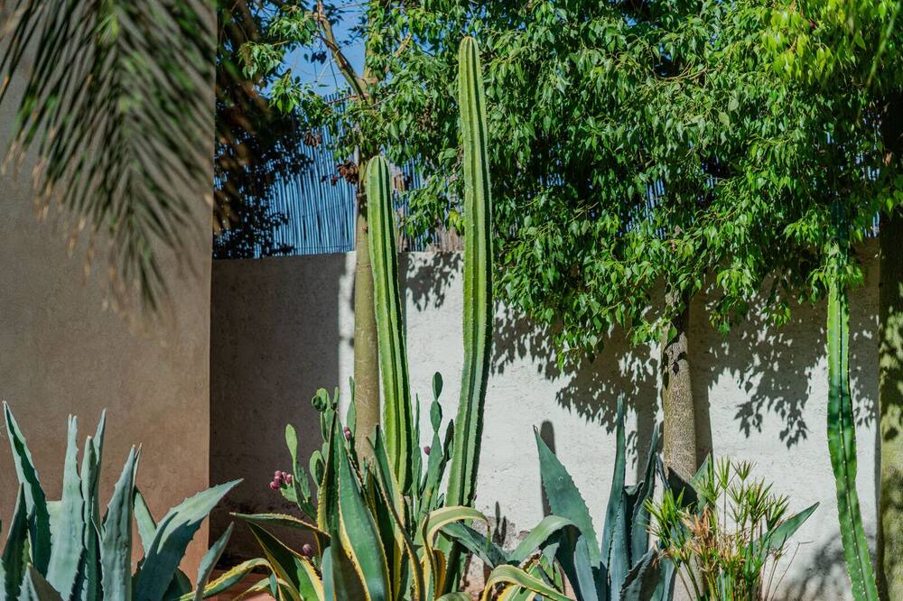 Photo of Outdoor in Zaouia Sidi Abdallah Ben Sassi
