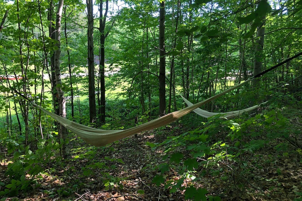 Photo of Outdoor in Dorset
