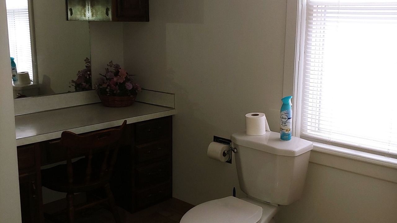 Photo of Bathroom in Owosso