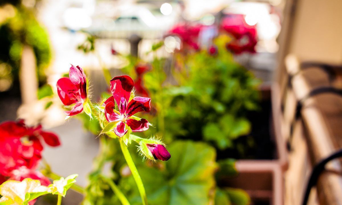 Photo of Outdoor in Sultanahmet