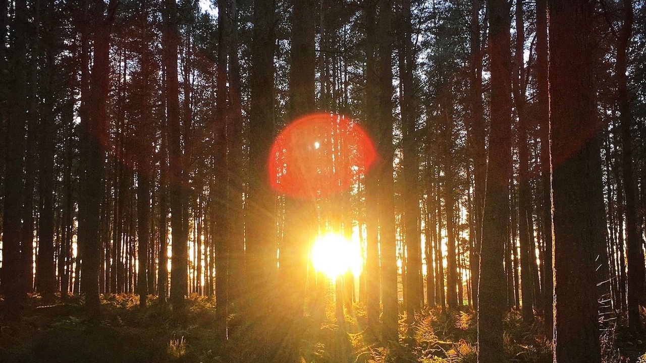 Photo of Outdoor in Rattray