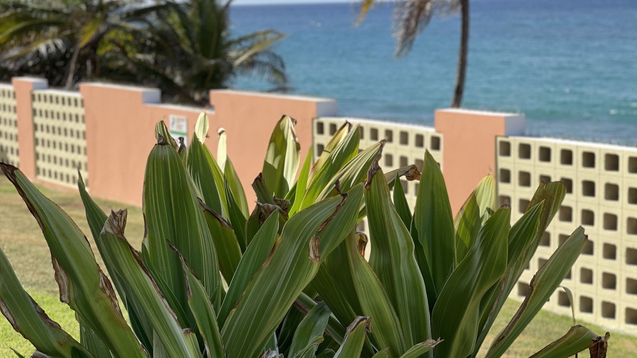 Photo of Outdoor in Isabela