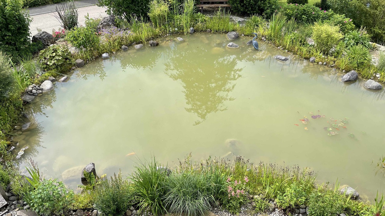 Photo of Outdoor in Gemarkung Laufen an der Eyach
