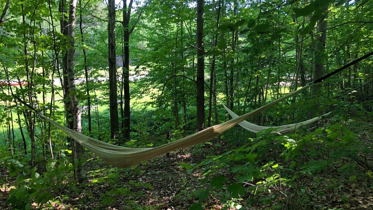 Photo of Outdoor in Dorset